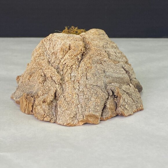 Vintage Painted Rock Owl in Wood Tree Branch Wall Decor - Picture 4 of 10